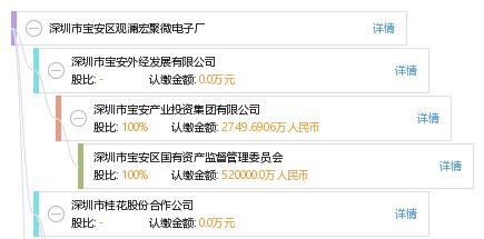 深圳市寶安區觀瀾宏聚微電子廠